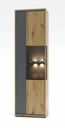 Nábytek do obývacího pokoje ANCOS I._ vitrína 40 E8 HG 01_ rozměry š/v/h_ 60/205/40 cm_ foto s dekorací_ včetně LED osvětlení_ obr. 5