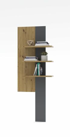 Nábytek do obývacího pokoje ANCOS I._ závěsný stěnový panel _ rozměry š/v/h_ 70/181/24 cm_ čelní pohled_ foto s dekorací_ obr. 7