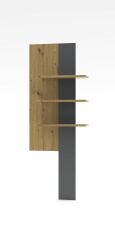 Nábytek do obývacího pokoje ANCOS I._ závěsný stěnový panel _ rozměry š/v/h_ 70/181/24 cm_ čelní pohled_ obr. 8