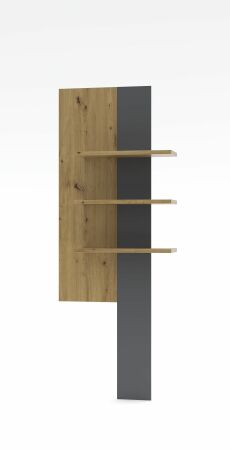 Nábytek do obývacího pokoje ANCOS I._ závěsný stěnový panel _ rozměry š/v/h_ 70/181/24 cm_ čelní pohled_ obr. 10