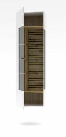 Nábytek do obývacího pokoje FREMONT_ závěsná vitrína 40 C5 HW 10_ levá varianta_ rozměry š/v/h_ 49/167/40 cm_ otevřená_ volitelné LED osvětlení_ obr. 7