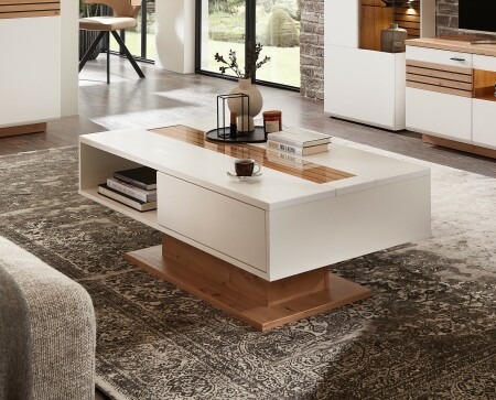 Nábytek do obývacího pokoje FREMONT_ konferenční stůl 20 55 HW 02_ rozměry š/v/h_ 120/43/65 cm_ foto s dekorací_ obr. 14