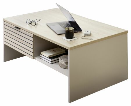 Nábytek do obývacího pokoje ALBA II._ konferenční stůl 20 S1 RM 02_ rozměry š/v/h_ 110/44/65 cm_ foto s dekorací_ obr. 16