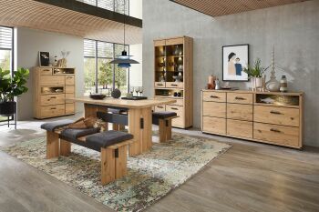Nábytek do obývacího pokoje a jídelny GAMMA dining room_ divoký dub 