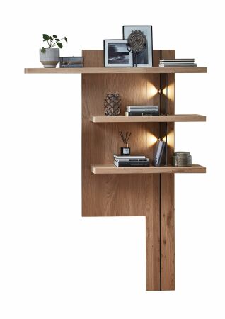 Nábytek do obývacího pokoje ARCANA_ závěsný stěnový panel 42 B9 HH 41_ rozměry š/v/h_ 122/174/24 cm_ čelní pohled_ foto s dekorací_ volitelné LED osvětlení_ obr. 10