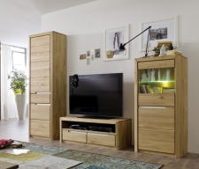 Nábytek do obývacího pokoje FIRENZE_ obývací sestava 405233 _ rozměry š/v/h_ 240 (bez mezer mezi elementy)/198/46 cm_ LED osvětlení jako volitelné příslušenství_ foto s dekorací_ obr. 5