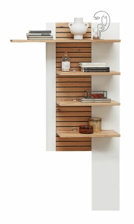 Nábytek do obývacího pokoje FREMONT_ závěsný stěnový panel 40 C5 HW 43_ rozměry š/v/h_ 96/171/28 cm_ čelní pohled_ foto s dekorací_ volitelné LED osvětlení_ obr. 8