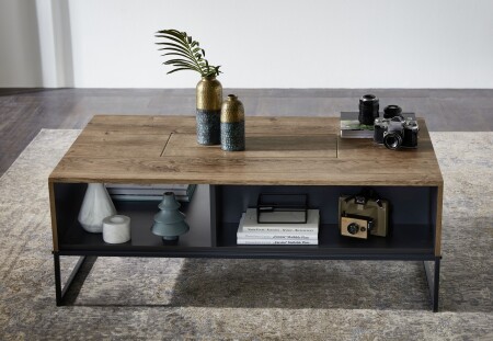 Nábytek do obývacího pokoje RICHMOND_ konferenční stůl 2T 23 VV 02_ rozměry š/v/h_ 115/42/65 cm_ foto s dekorací_ zadní strana_ obr. 8