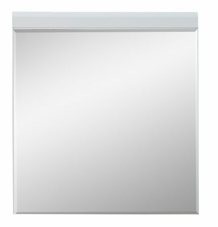 Předsíňový nábytek FREMONT_ závěsné zrcadlo 60 C5 HW 50_ š/v/h_ 80/87/2 cm_ obr. 12
